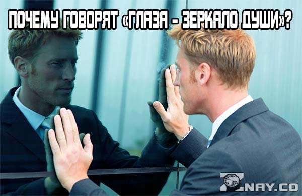 Глаза – зеркало души: откуда фраза?