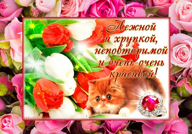 кот-цветы-комплимент картинка