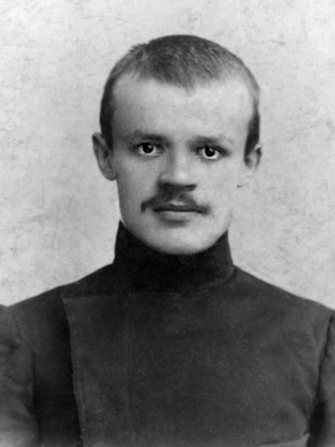 Николай Алексеевич Некрасов: биография