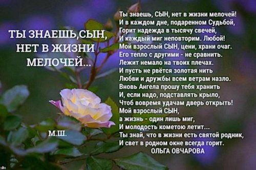 Письмо сыну от мамы, чтобы затронуло душу в прозе