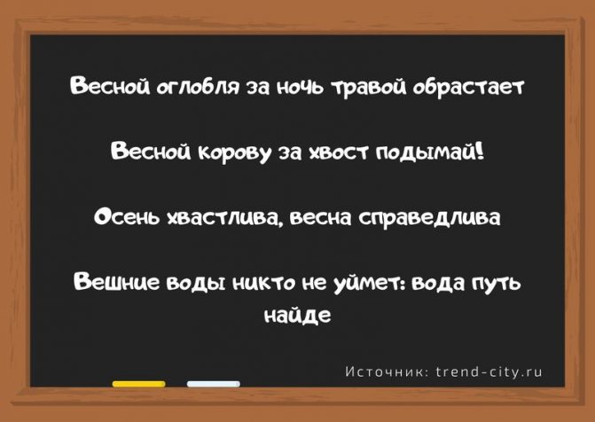 Поговорки о весне 1