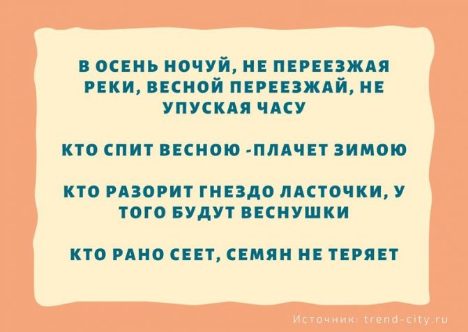 Поговорки о весне 8