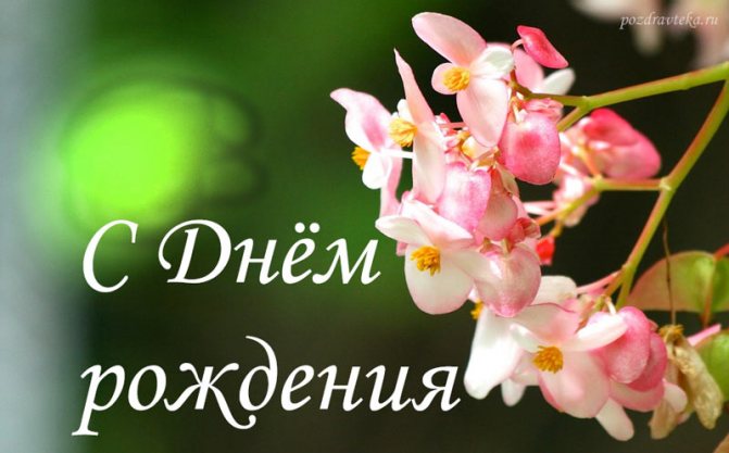 Поздравление подруге