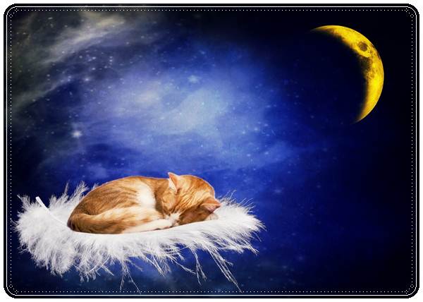 Пожелания спокойной ночи любимому мужчине в смс