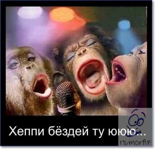 Смешные картинки с днем рождения