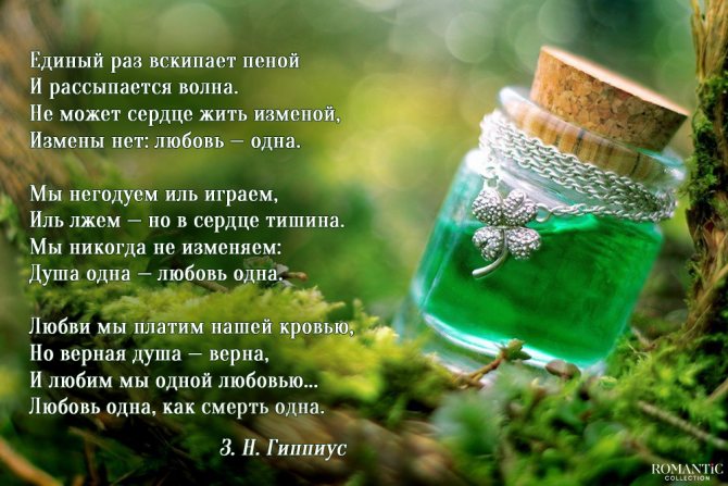 Стихи знаменитых поэтов о любви до слез