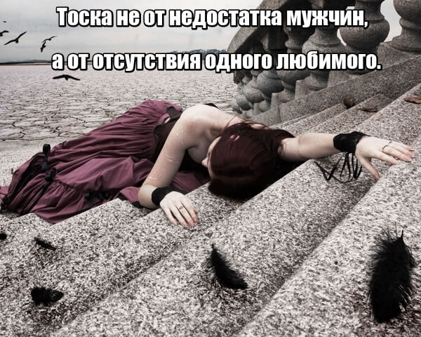 Тоска не от недостатка мужчин, а от отсутствия одного любимого.